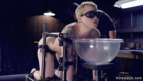 Sexy hot shemal perchopialinni heaps fuck